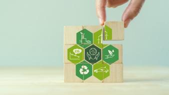Gestion d’archives  Entre recyclage et sécurité